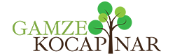 Psikolog Gamze KOCAPINAR
